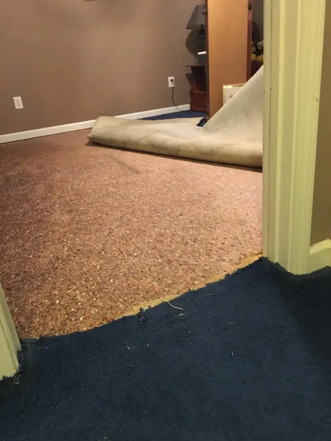 Carpet pad removal revealing water damage during Water Mitigation Services in Farragut
