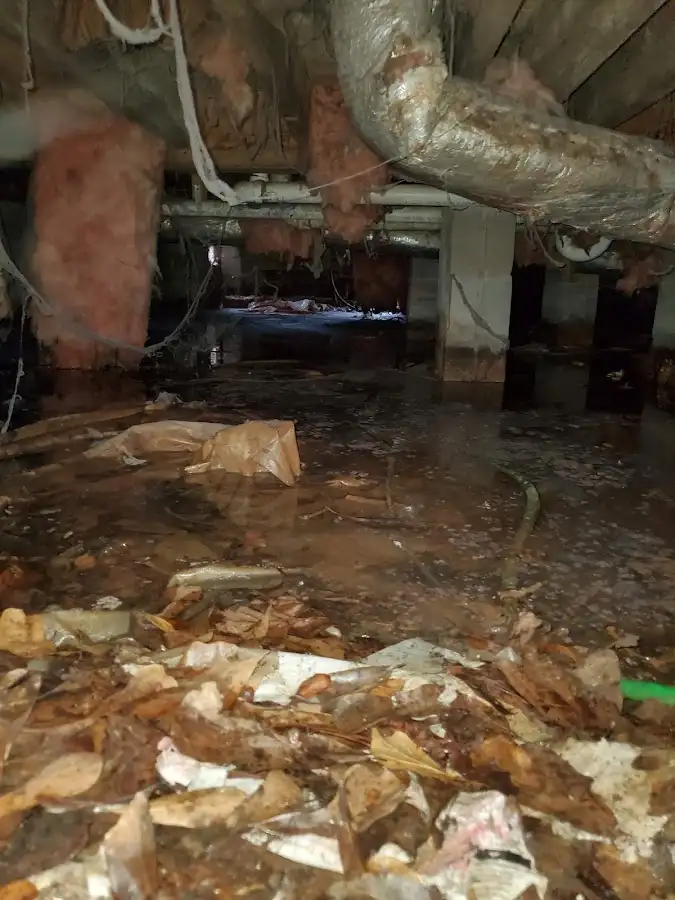 Crawl space flood assessment for Leak Detection & Repair in Farragut