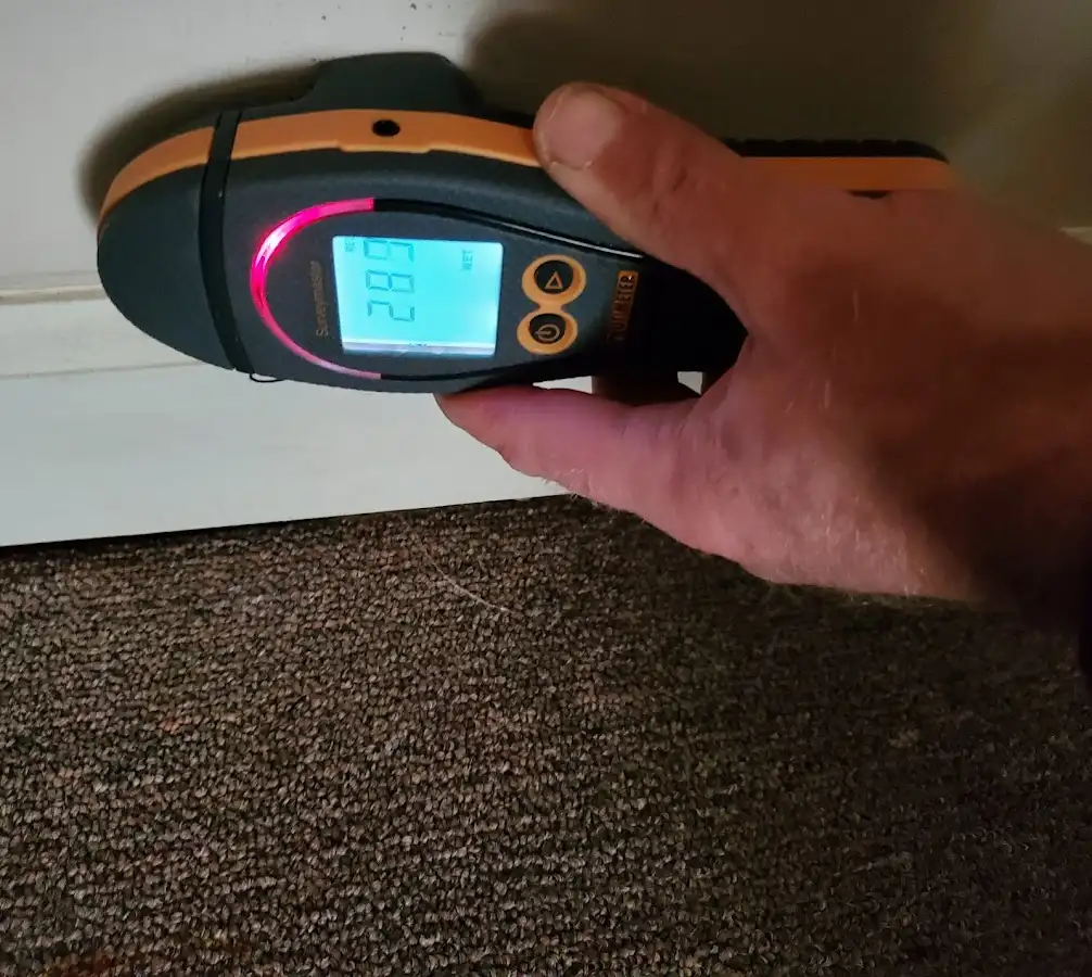 Moisture detection at baseboard during Sewage Cleanup & Sanitation in Farragut
